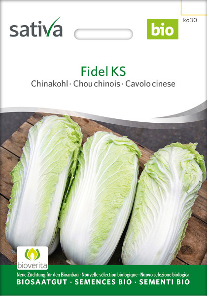 Chinakohl Fidel