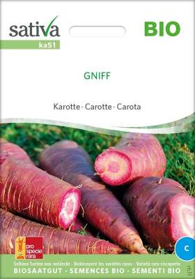BIO Rotkohl Samen 'Kalibos' – Samenfest, 100 Samen, Mild-süßlicher Spitzkohl, Für Freiland & Balkon