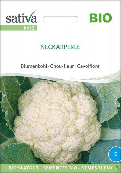 Blumenkohl Neckarperle
