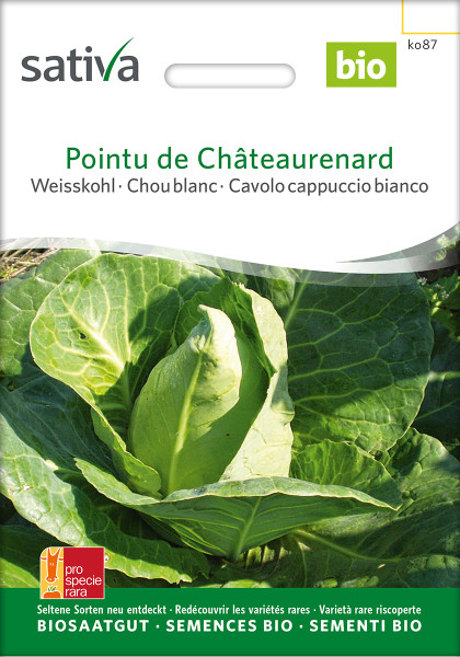 Pointu de Châteaurenard