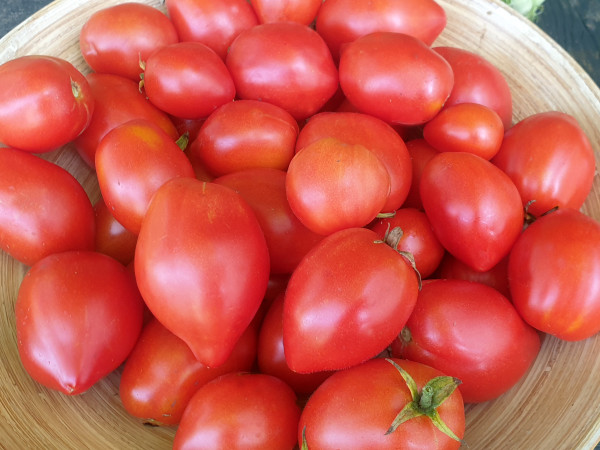 Tomate Rote Herztomate