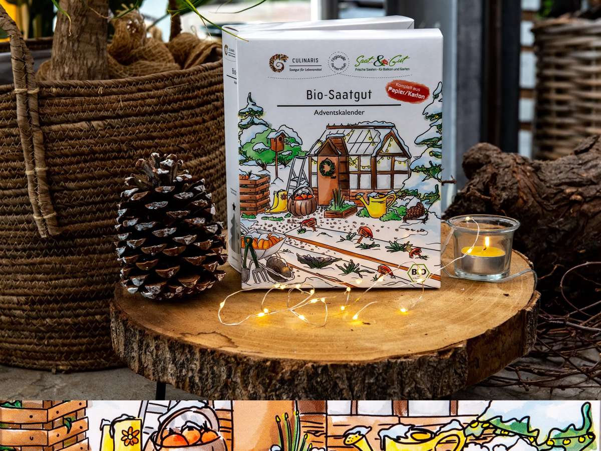 Saatgut-Adventskalender Bio-Rarittengemse | Garten des Lebens   Samenfestes Saatgut