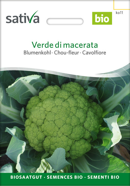 Blumenkohl Verde di Macerata