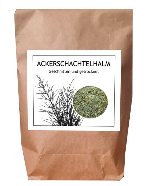 Ackerschachtelhalm