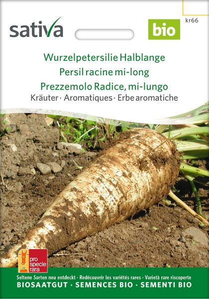 Wurzelpetersilie Halblange