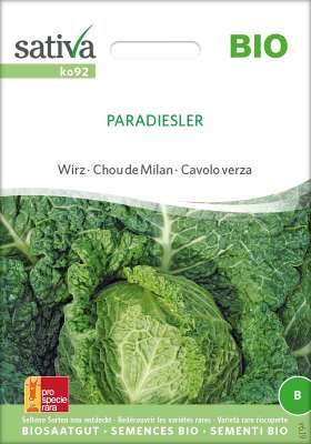 Samen Federkohl / Grnkohl OSTFRIESISCHE PALME | Garten des Lebens   Samenfestes Saatgut
