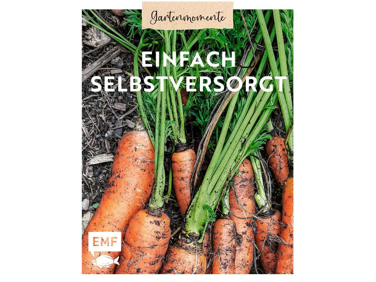 eukalyptus künstlich kaufen Eukalyptus künstlich, 80 cm – Herbertle main image 1