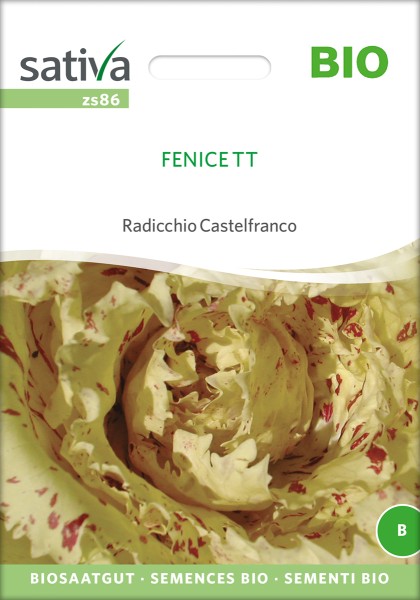 Radicchio Castelfranco
