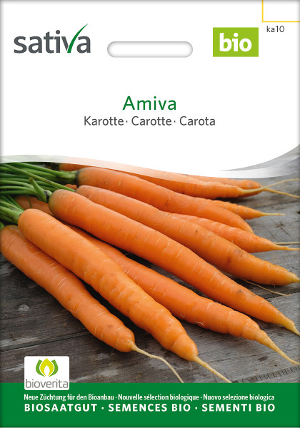 Frühkarotte Amiva